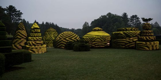 topiary form lit up with patterns on them